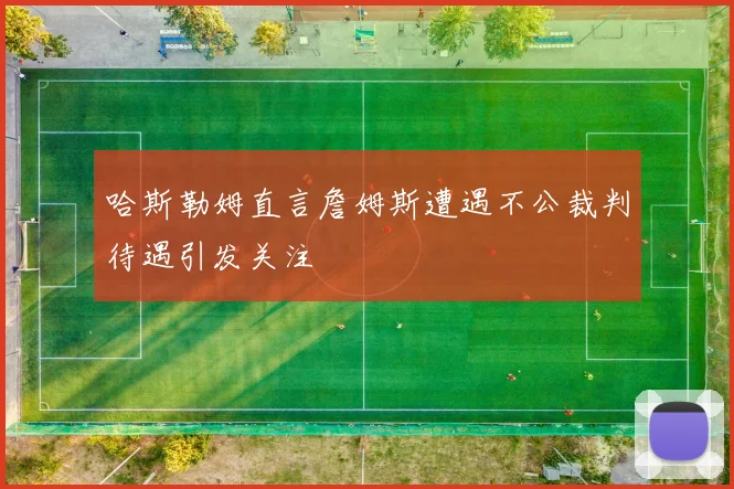哈斯勒姆直言詹姆斯遭遇不公裁判待遇引发关注